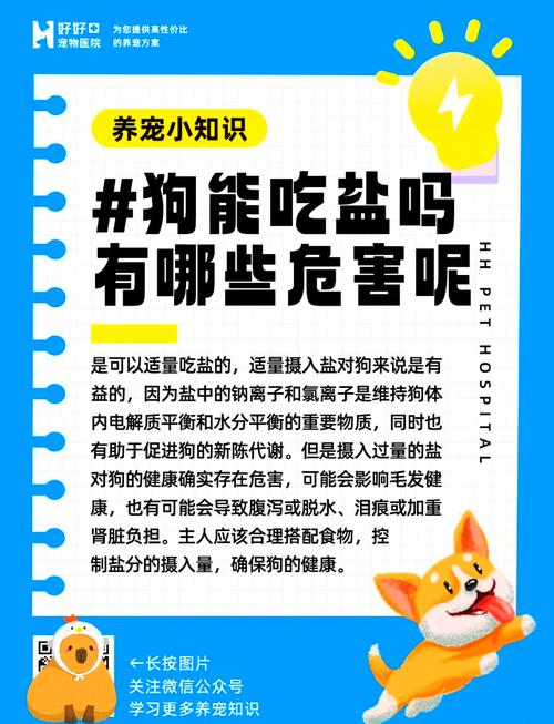 狗狗可以吃盐吗,狗狗可以吃盐吗有毒吗?-第5张图片-后鲨宠物 狗狗可以吃盐吗,狗狗可以吃盐吗有毒吗?-第5张图片-后鲨宠物