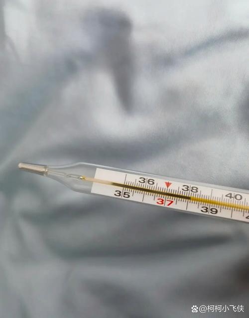 猫咪腋下体温多少正常_猫腋温39度3-第2张图片-后鲨宠物 猫咪腋下体温多少正常_猫腋温39度3-第2张图片-后鲨宠物