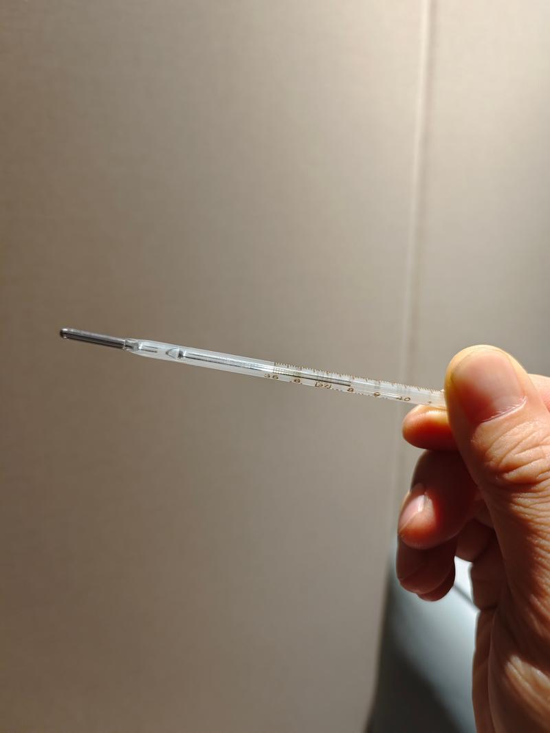 猫咪腋下体温多少正常_猫腋温39度3-第5张图片-后鲨宠物 猫咪腋下体温多少正常_猫腋温39度3-第5张图片-后鲨宠物