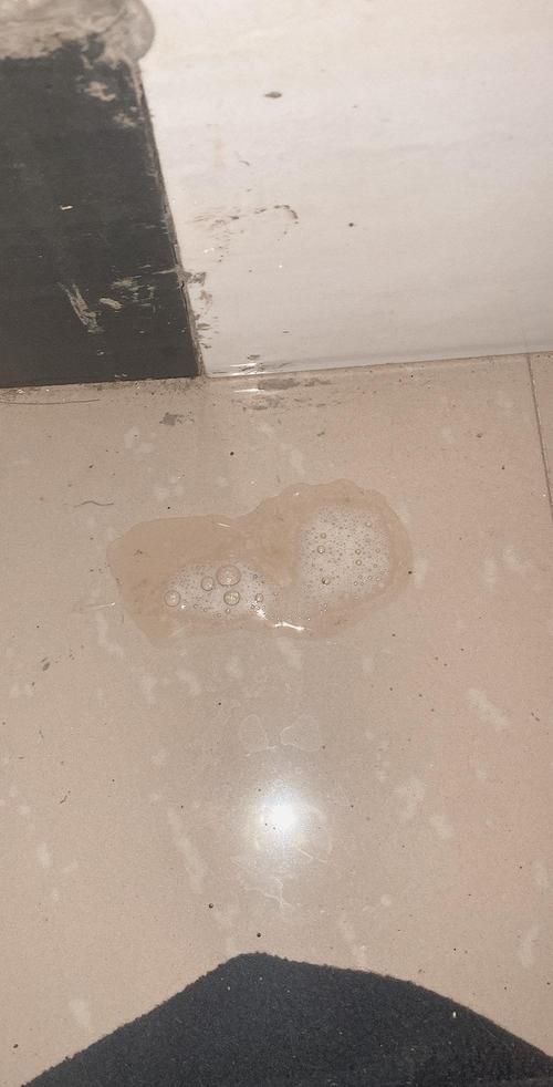 狗狗口吐白沫是怎么回事_狗狗口吐白沫是怎么回事 吃什么药-第4张图片-后鲨宠物