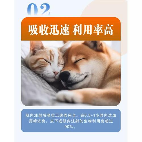 庆大霉素颗粒狗狗用量_庆大霉素颗粒狗狗一次服用多少-第5张图片-后鲨宠物 庆大霉素颗粒狗狗用量_庆大霉素颗粒狗狗一次服用多少-第5张图片-后鲨宠物