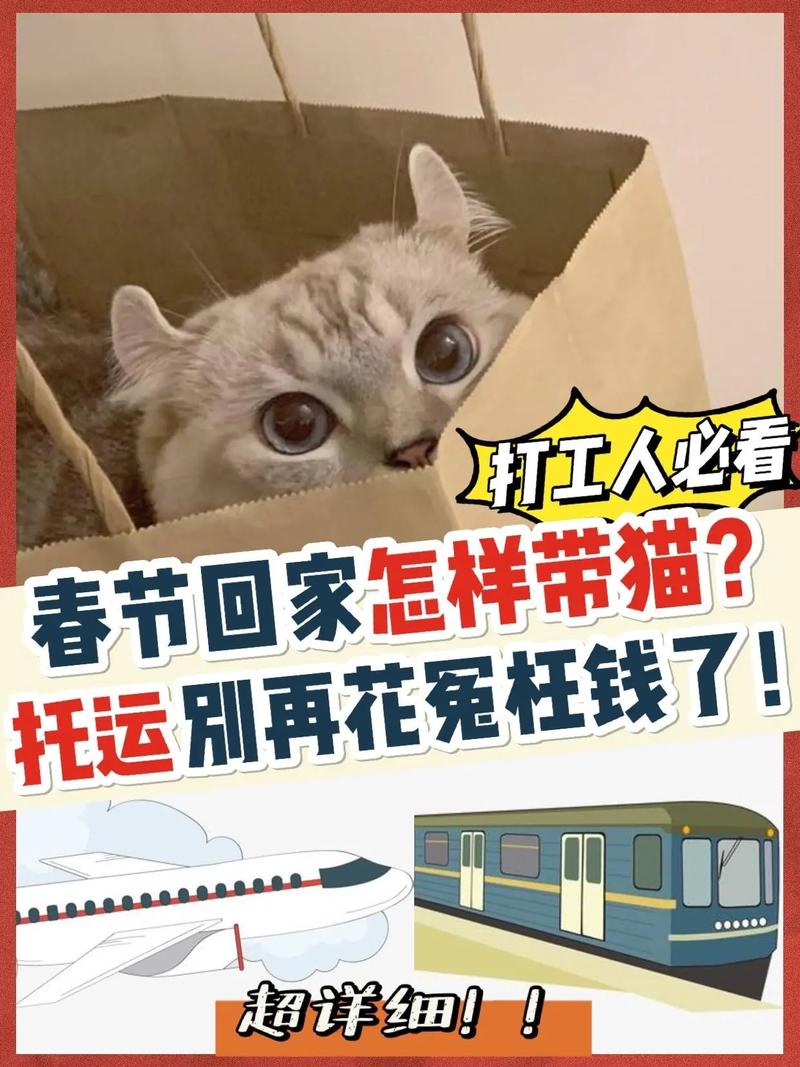 过年狗狗怎么带回家,过年狗狗怎么带回家吃饭?-第1张图片-后鲨宠物 过年狗狗怎么带回家,过年狗狗怎么带回家吃饭?-第1张图片-后鲨宠物