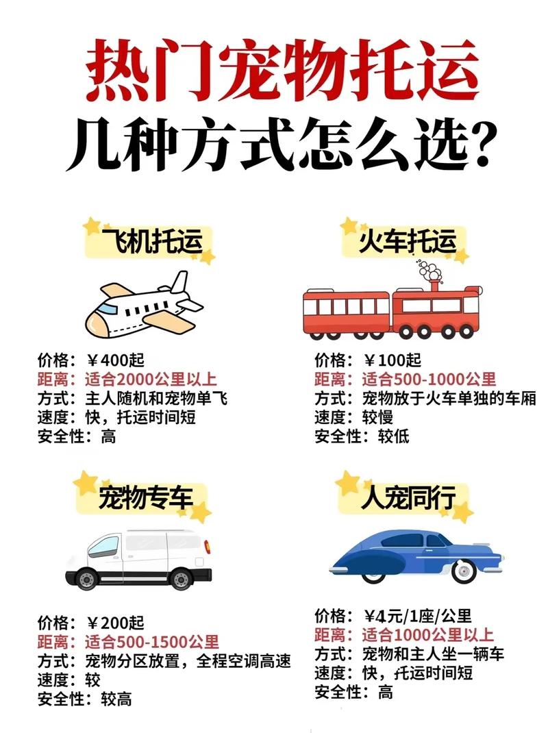 过年狗狗怎么带回家,过年狗狗怎么带回家吃饭?-第4张图片-后鲨宠物 过年狗狗怎么带回家,过年狗狗怎么带回家吃饭?-第4张图片-后鲨宠物