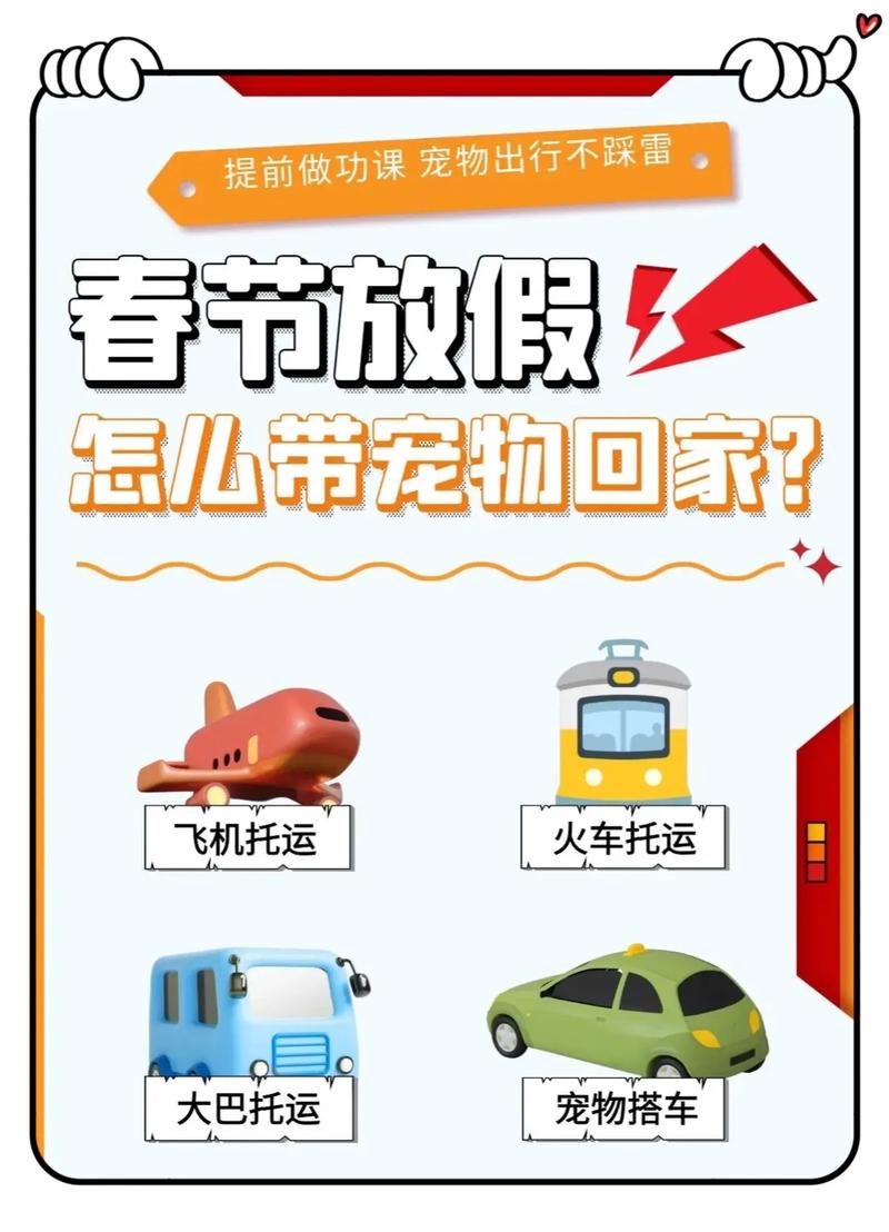 过年狗狗怎么带回家,过年狗狗怎么带回家吃饭?-第5张图片-后鲨宠物 过年狗狗怎么带回家,过年狗狗怎么带回家吃饭?-第5张图片-后鲨宠物