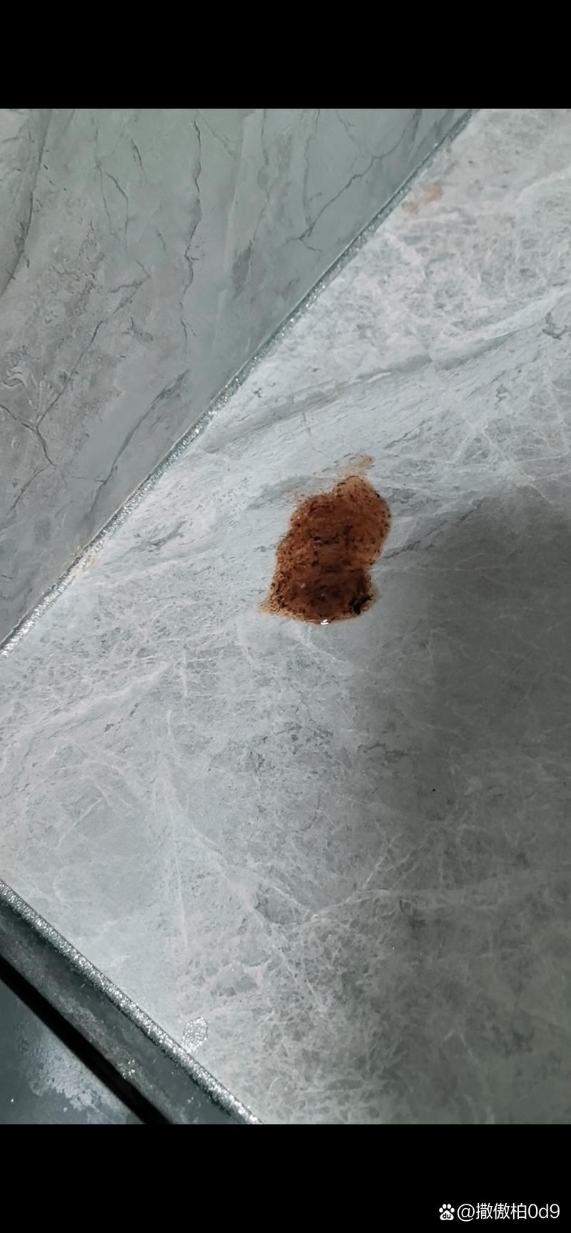 狗狗吃什么原样拉出来,狗狗吃什么拉什么-第6张图片-后鲨宠物 狗狗吃什么原样拉出来,狗狗吃什么拉什么-第6张图片-后鲨宠物