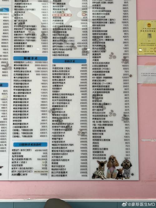 狗狗催吐多少钱_狗催吐的危害-第1张图片-后鲨宠物 狗狗催吐多少钱_狗催吐的危害-第1张图片-后鲨宠物