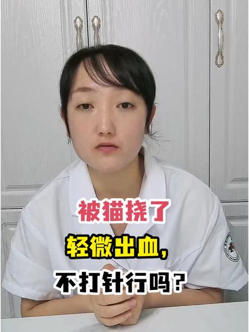 被猫猫抓伤了需要打针吗,被猫猫抓伤了需要打针吗免费询问医生-第1张图片-后鲨宠物 被猫猫抓伤了需要打针吗,被猫猫抓伤了需要打针吗免费询问医生-第1张图片-后鲨宠物