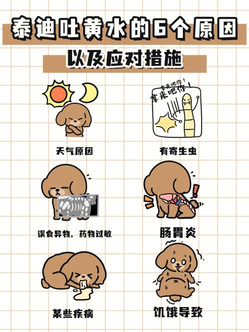 泰迪狗狗吐了怎么办_泰迪吐了食物怎么回事-第3张图片-后鲨宠物 泰迪狗狗吐了怎么办_泰迪吐了食物怎么回事-第3张图片-后鲨宠物