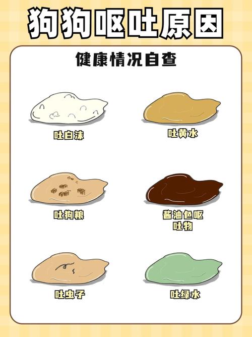 泰迪狗狗吐了怎么办_泰迪吐了食物怎么回事-第4张图片-后鲨宠物 泰迪狗狗吐了怎么办_泰迪吐了食物怎么回事-第4张图片-后鲨宠物