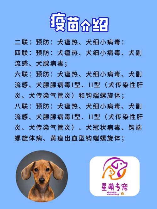 狗狗到家多久可以打疫苗,狗狗到家多久可以打疫苗了?-第5张图片-后鲨宠物 狗狗到家多久可以打疫苗,狗狗到家多久可以打疫苗了?-第5张图片-后鲨宠物