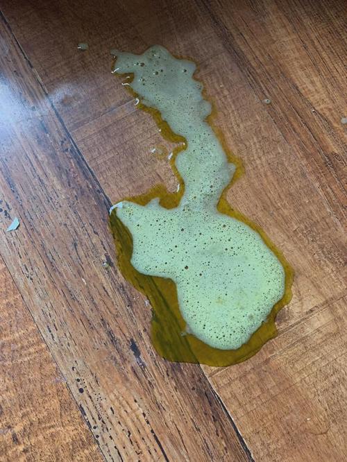 猫咪吐黄绿色液体,猫咪吐黄绿色的水是怎么回事?-第1张图片-后鲨宠物 猫咪吐黄绿色液体,猫咪吐黄绿色的水是怎么回事?-第1张图片-后鲨宠物