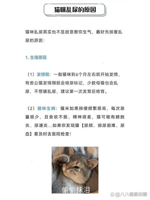  猫咪为什么突然乱撒尿，猫咪为什么突然乱撒尿的原因-第1张图片-后鲨宠物