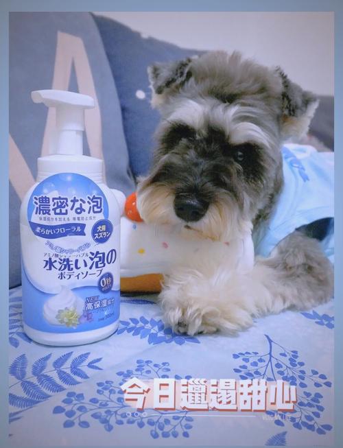 如何让狗狗开心,如何让狗狗开心快乐-第4张图片-后鲨宠物 如何让狗狗开心,如何让狗狗开心快乐-第4张图片-后鲨宠物