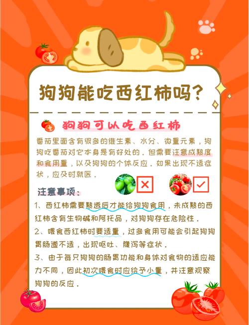 小狗狗可以吃西红柿吗,狗子可以吃西红柿么?-第1张图片-后鲨宠物 小狗狗可以吃西红柿吗,狗子可以吃西红柿么?-第1张图片-后鲨宠物