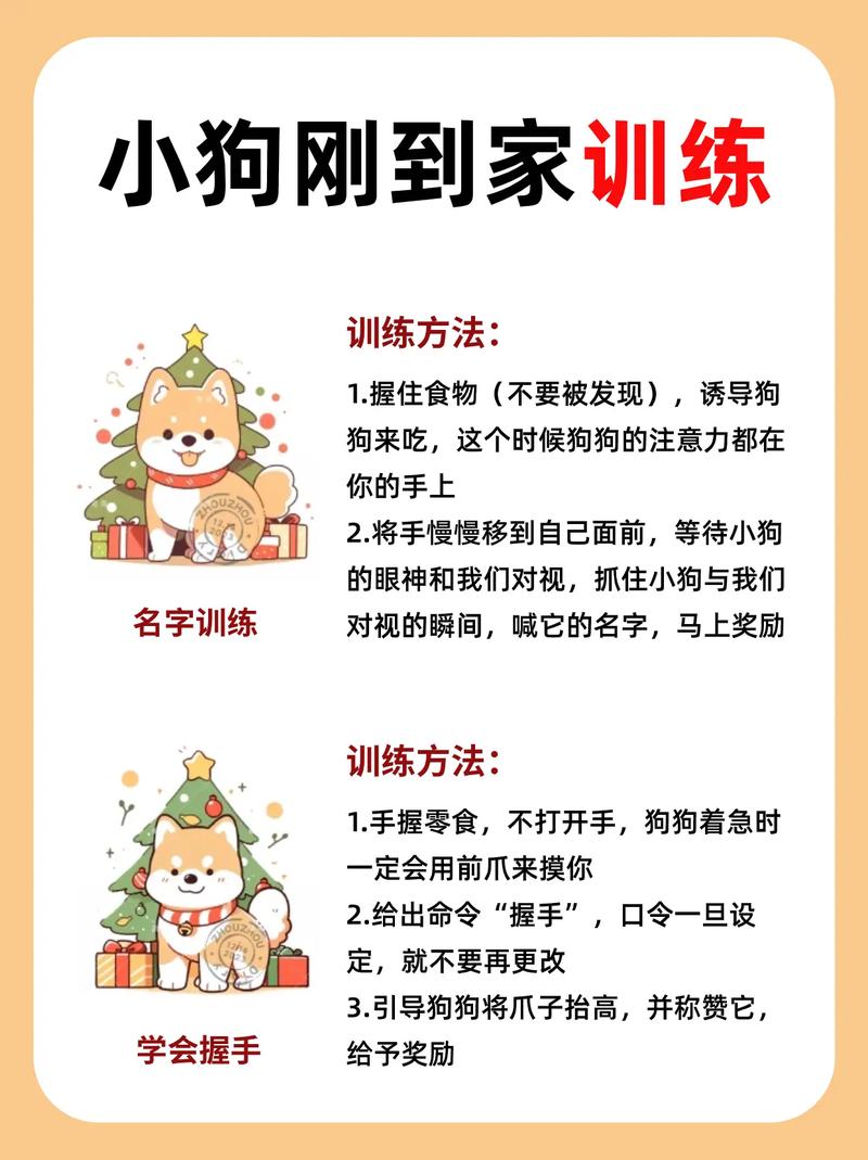 狗狗几个月开始训练,幼犬几个月开始训练?-第3张图片-后鲨宠物 狗狗几个月开始训练,幼犬几个月开始训练?-第3张图片-后鲨宠物