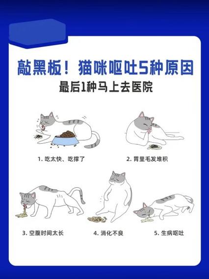 猫咪一直吐怎么回事,猫咪吐怎么回事怎么办-第2张图片-后鲨宠物 猫咪一直吐怎么回事,猫咪吐怎么回事怎么办-第2张图片-后鲨宠物