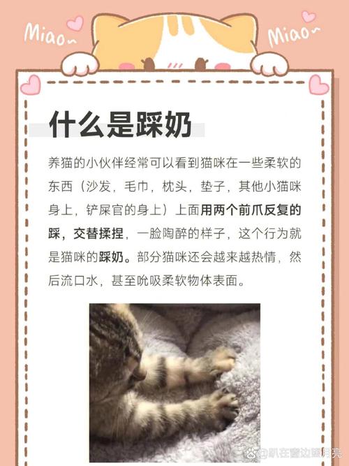 为什么猫咪会踩奶,为什么猫咪踩奶的时候一摸它就叫-第5张图片-后鲨宠物 为什么猫咪会踩奶,为什么猫咪踩奶的时候一摸它就叫-第5张图片-后鲨宠物