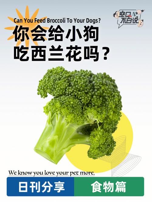 狗狗吃西兰花的好处,狗狗吃西兰花的好处和坏处-第3张图片-后鲨宠物 狗狗吃西兰花的好处,狗狗吃西兰花的好处和坏处-第3张图片-后鲨宠物