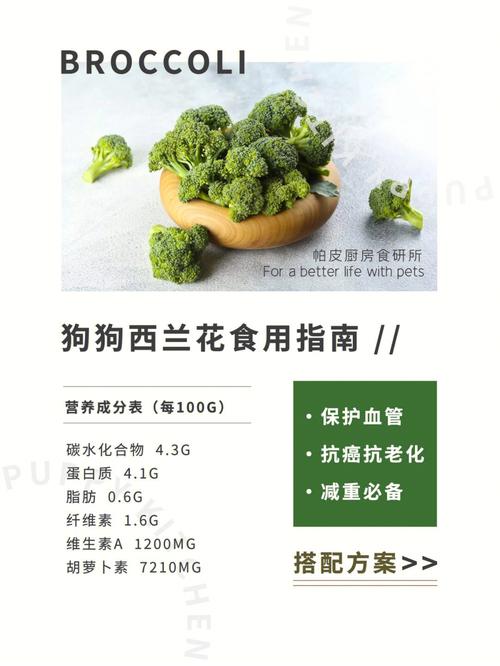 狗狗吃西兰花的好处,狗狗吃西兰花的好处和坏处-第4张图片-后鲨宠物 狗狗吃西兰花的好处,狗狗吃西兰花的好处和坏处-第4张图片-后鲨宠物