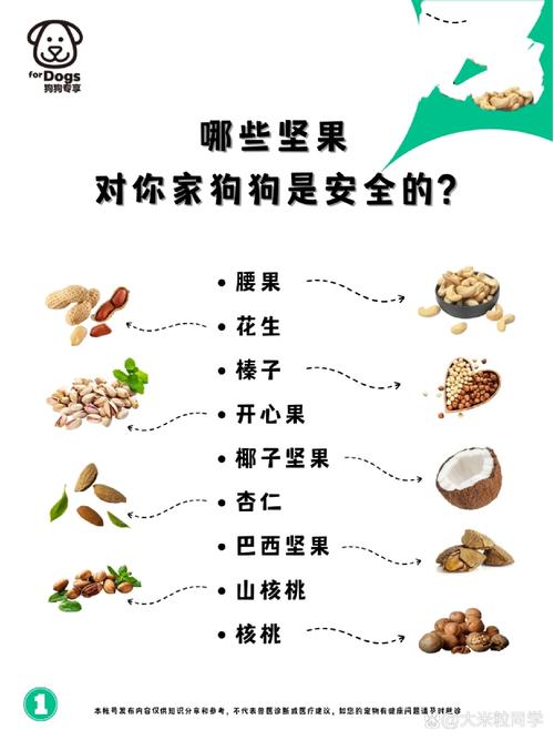 狗狗能吃干果吗,狗能吃水果干?-第1张图片-后鲨宠物 狗狗能吃干果吗,狗能吃水果干?-第1张图片-后鲨宠物