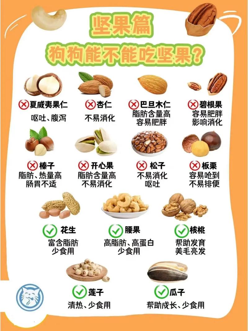 狗狗能吃干果吗,狗能吃水果干?-第5张图片-后鲨宠物 狗狗能吃干果吗,狗能吃水果干?-第5张图片-后鲨宠物