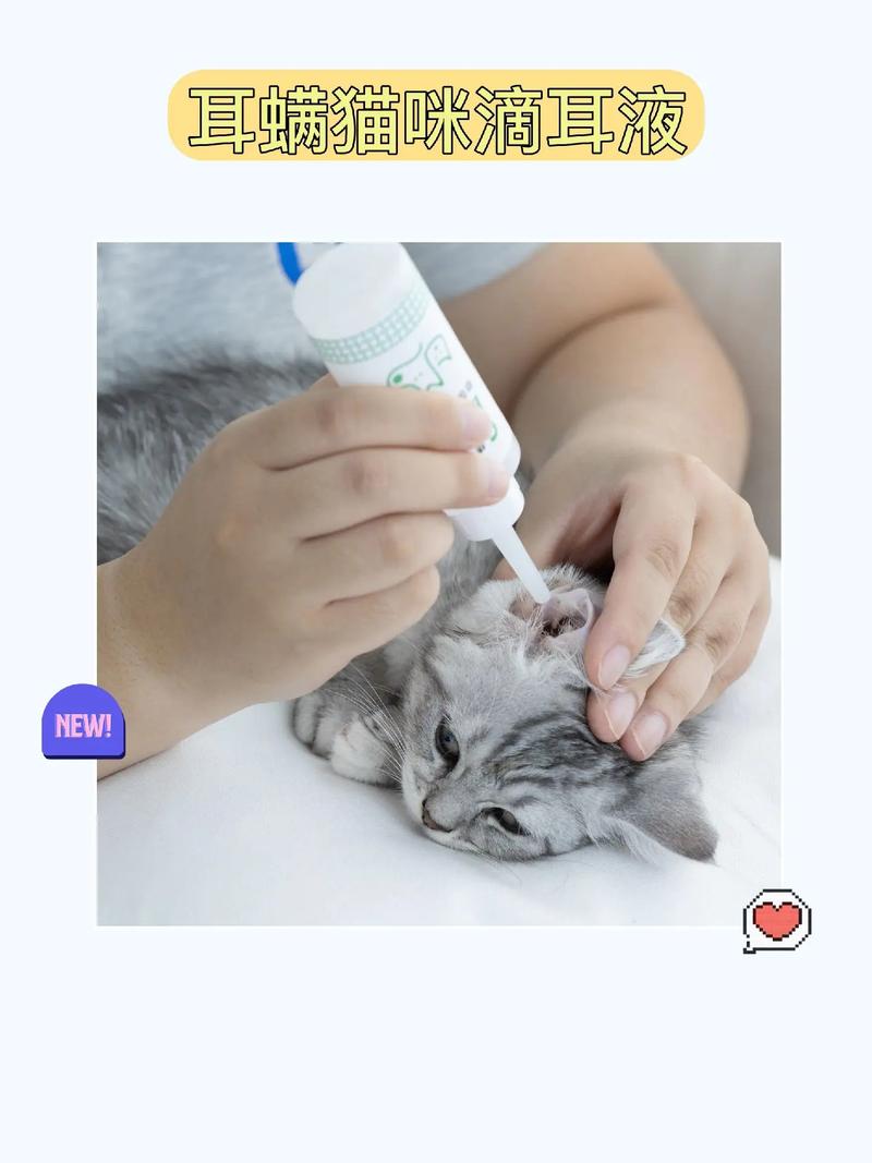 猫咪滴耳液怎么用,猫咪滴耳液用法?-第2张图片-后鲨宠物 猫咪滴耳液怎么用,猫咪滴耳液用法?-第2张图片-后鲨宠物