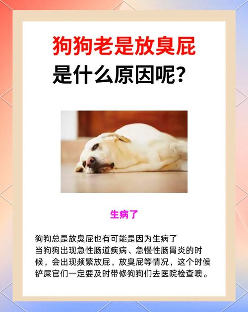 狗狗出气很臭怎么办_狗狗出气特别臭什么原因-第1张图片-后鲨宠物 狗狗出气很臭怎么办_狗狗出气特别臭什么原因-第1张图片-后鲨宠物