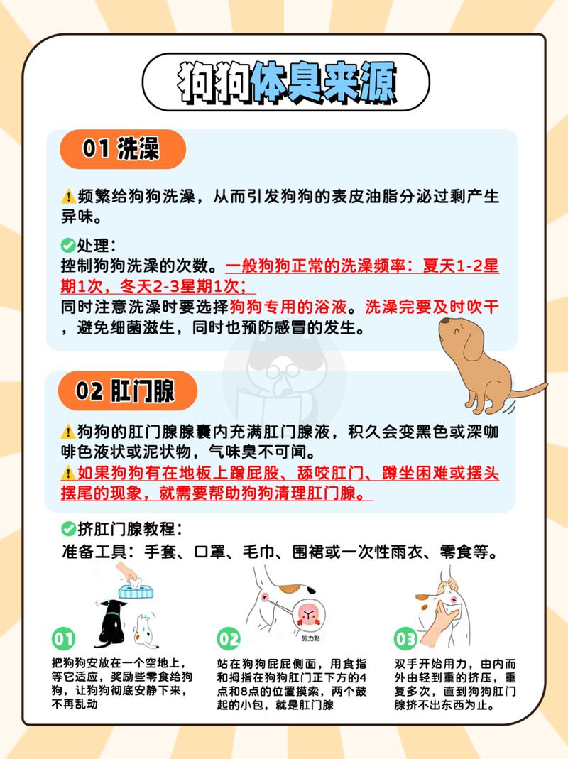 狗狗出气很臭怎么办_狗狗出气特别臭什么原因-第4张图片-后鲨宠物 狗狗出气很臭怎么办_狗狗出气特别臭什么原因-第4张图片-后鲨宠物