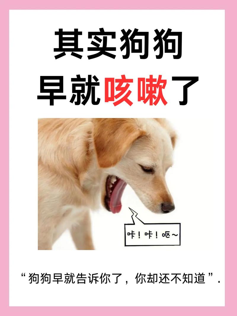 狗狗咳嗽几天能好,狗狗咳嗽一般多久才会好-第1张图片-后鲨宠物 狗狗咳嗽几天能好,狗狗咳嗽一般多久才会好-第1张图片-后鲨宠物