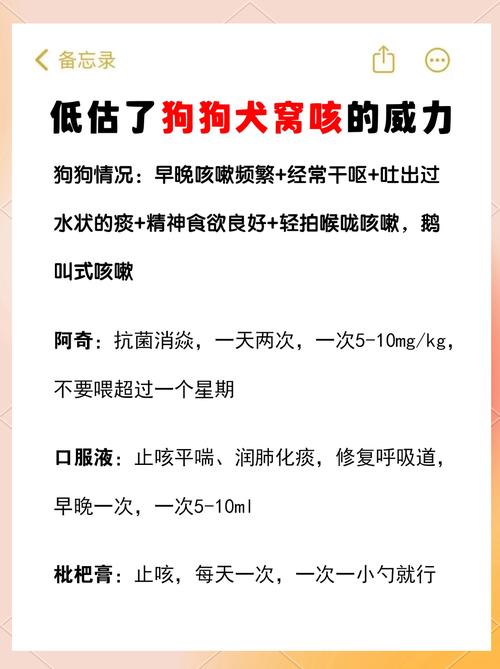 狗狗咳嗽几天能好,狗狗咳嗽一般多久才会好-第4张图片-后鲨宠物 狗狗咳嗽几天能好,狗狗咳嗽一般多久才会好-第4张图片-后鲨宠物