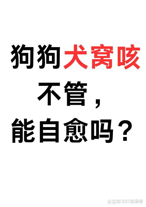 狗狗咳嗽几天能好,狗狗咳嗽一般多久才会好-第5张图片-后鲨宠物 狗狗咳嗽几天能好,狗狗咳嗽一般多久才会好-第5张图片-后鲨宠物