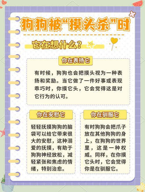 狗狗脑子每天在想什么，狗狗脑子每天在想什么知乎？-第1张图片-后鲨宠物