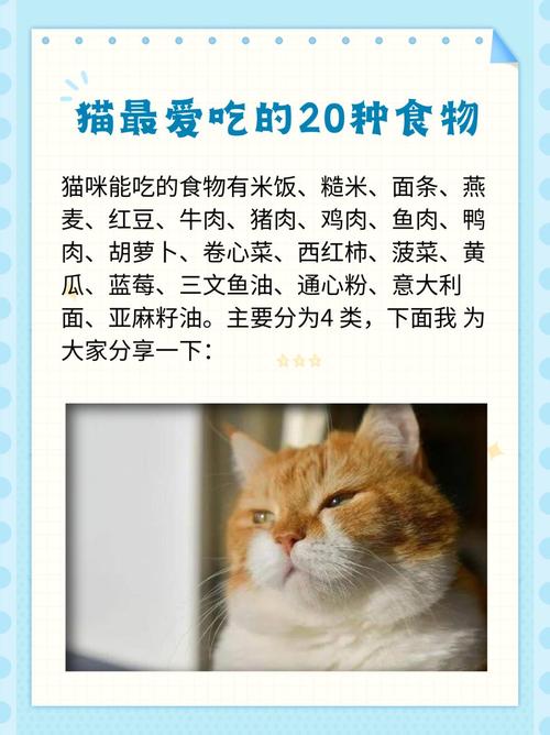 猫咪吃什么比较好,5个月猫咪吃什么比较好-第6张图片-后鲨宠物 猫咪吃什么比较好,5个月猫咪吃什么比较好-第6张图片-后鲨宠物