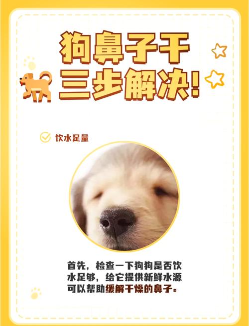 狗狗得细小鼻子会干吗,狗狗得了细小鼻塞?-第2张图片-后鲨宠物 狗狗得细小鼻子会干吗,狗狗得了细小鼻塞?-第2张图片-后鲨宠物