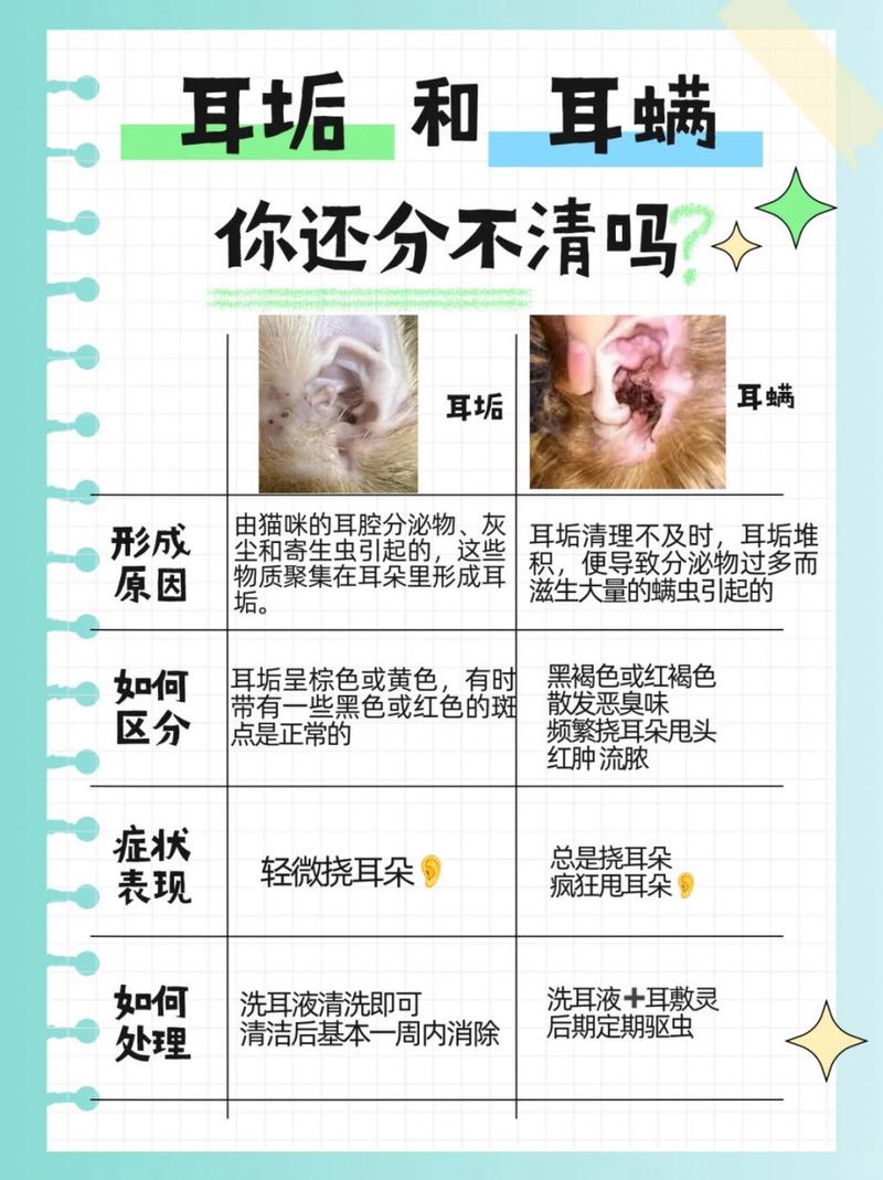 猫咪耳朵真菌感染,猫咪耳朵真菌感染和耳螨用药一样吗-第3张图片-后鲨宠物 猫咪耳朵真菌感染,猫咪耳朵真菌感染和耳螨用药一样吗-第3张图片-后鲨宠物
