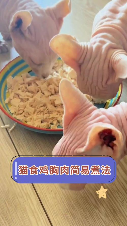 给猫咪做鸡胸肉的方法_怎样给猫做鸡胸肉才好吃-第4张图片-后鲨宠物 给猫咪做鸡胸肉的方法_怎样给猫做鸡胸肉才好吃-第4张图片-后鲨宠物