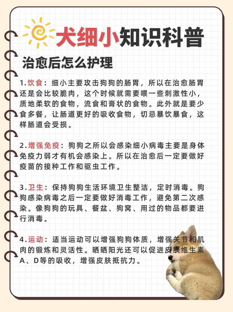 狗狗得了细小病毒怎么治疗_狗狗得了细小病毒怎么办,还能救活吗?-第4张图片-后鲨宠物 狗狗得了细小病毒怎么治疗_狗狗得了细小病毒怎么办,还能救活吗?-第4张图片-后鲨宠物