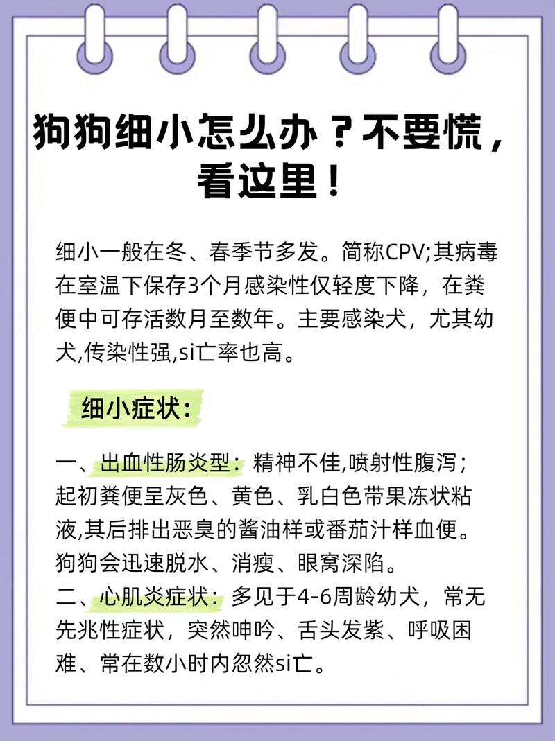 狗狗得了细小病毒怎么治疗_狗狗得了细小病毒怎么办,还能救活吗?-第6张图片-后鲨宠物 狗狗得了细小病毒怎么治疗_狗狗得了细小病毒怎么办,还能救活吗?-第6张图片-后鲨宠物