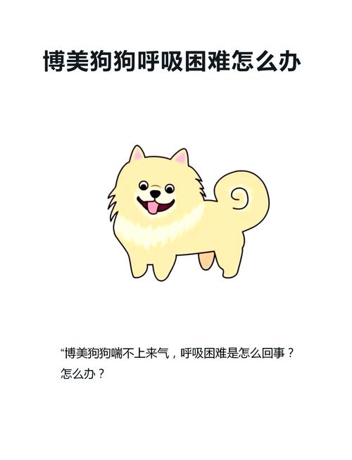 狗狗老喘气是怎么回事,狗狗怎么老是喘气的?-第1张图片-后鲨宠物 狗狗老喘气是怎么回事,狗狗怎么老是喘气的?-第1张图片-后鲨宠物