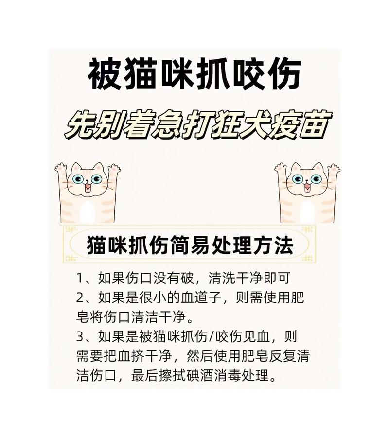 被猫咪抓了怎么办_被猫咪抓了怎么办时间比较长-第4张图片-后鲨宠物 被猫咪抓了怎么办_被猫咪抓了怎么办时间比较长-第4张图片-后鲨宠物
