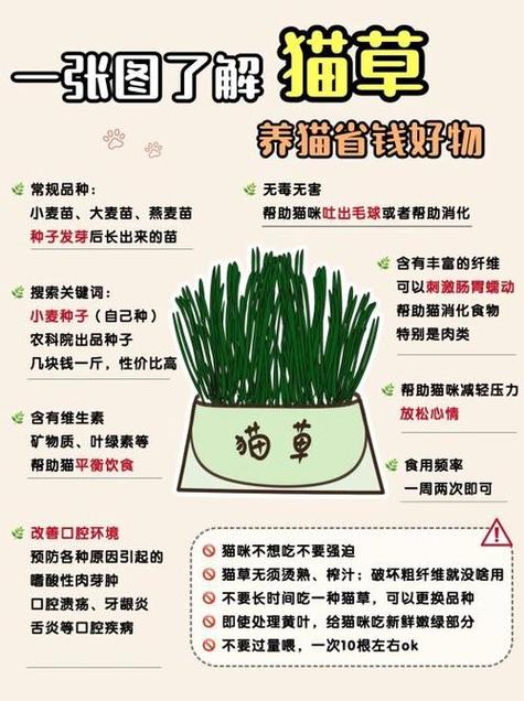 猫咪为什么吃草_猫咪为什么吃草会流眼泪-第4张图片-后鲨宠物 猫咪为什么吃草_猫咪为什么吃草会流眼泪-第4张图片-后鲨宠物