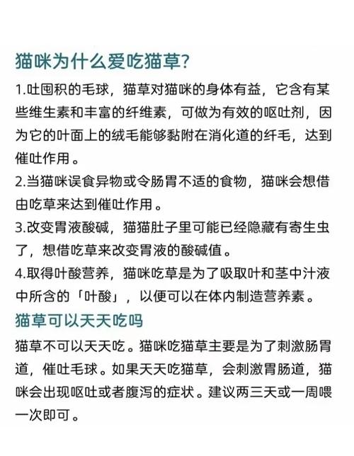 猫咪为什么吃草_猫咪为什么吃草会流眼泪-第5张图片-后鲨宠物 猫咪为什么吃草_猫咪为什么吃草会流眼泪-第5张图片-后鲨宠物