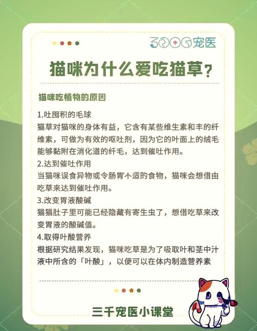 猫咪为什么吃草_猫咪为什么吃草会流眼泪-第6张图片-后鲨宠物 猫咪为什么吃草_猫咪为什么吃草会流眼泪-第6张图片-后鲨宠物