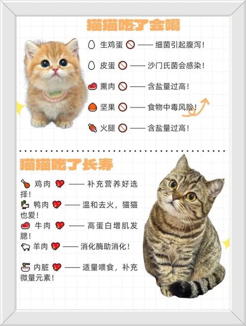 猫咪能吃板栗么,猫咪可以吃板栗不-第2张图片-后鲨宠物 猫咪能吃板栗么,猫咪可以吃板栗不-第2张图片-后鲨宠物