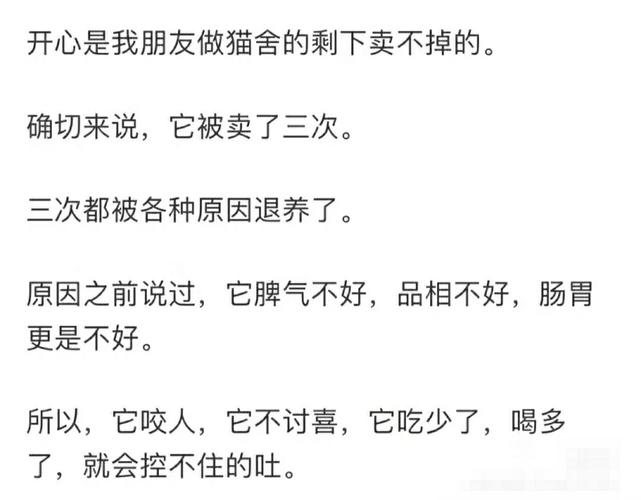 猫咪对主人会有感情吗_猫咪对主人会有感情吗猫的诡异禁忌-第5张图片-后鲨宠物 猫咪对主人会有感情吗_猫咪对主人会有感情吗猫的诡异禁忌-第5张图片-后鲨宠物