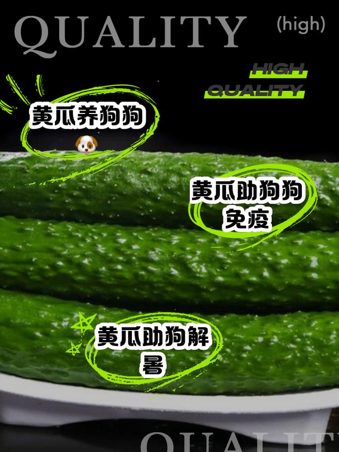 狗狗吃黄瓜的好处，狗狗吃黄瓜的好处和坏处？-第6张图片-后鲨宠物