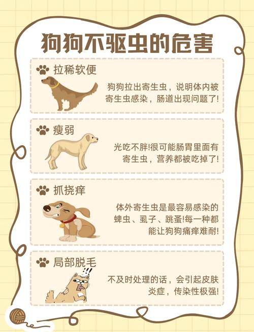 驱虫药狗狗不吃怎么办,狗狗驱虫不吃东西怎么办-第2张图片-后鲨宠物 驱虫药狗狗不吃怎么办,狗狗驱虫不吃东西怎么办-第2张图片-后鲨宠物