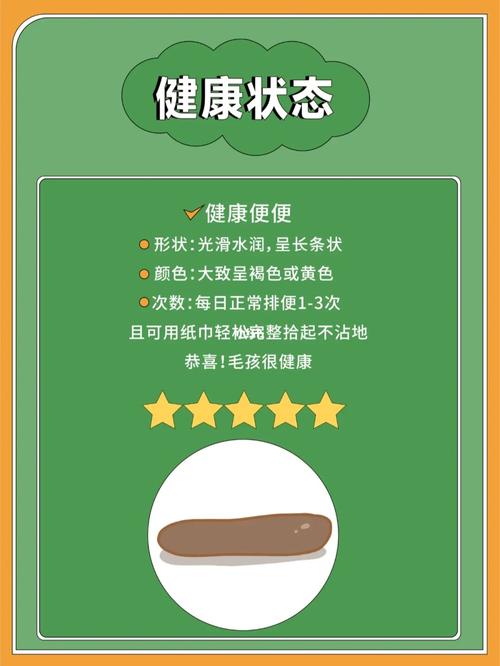 狗狗拉屎绿色怎么回事_狗狗拉屎绿色怎么回事儿-第1张图片-后鲨宠物 狗狗拉屎绿色怎么回事_狗狗拉屎绿色怎么回事儿-第1张图片-后鲨宠物