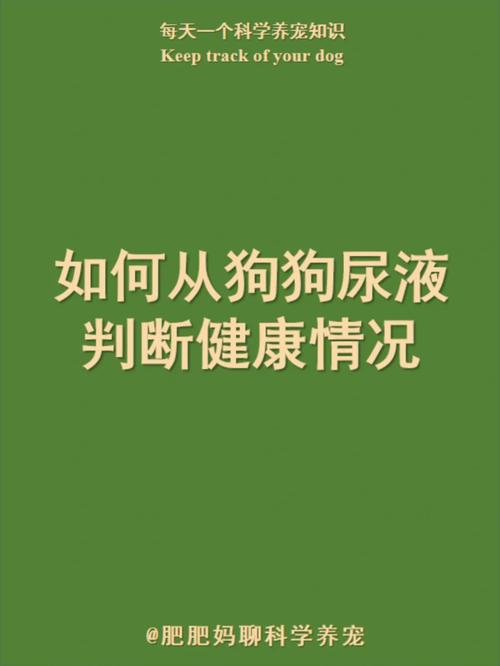 狗狗拉屎绿色怎么回事_狗狗拉屎绿色怎么回事儿-第6张图片-后鲨宠物 狗狗拉屎绿色怎么回事_狗狗拉屎绿色怎么回事儿-第6张图片-后鲨宠物