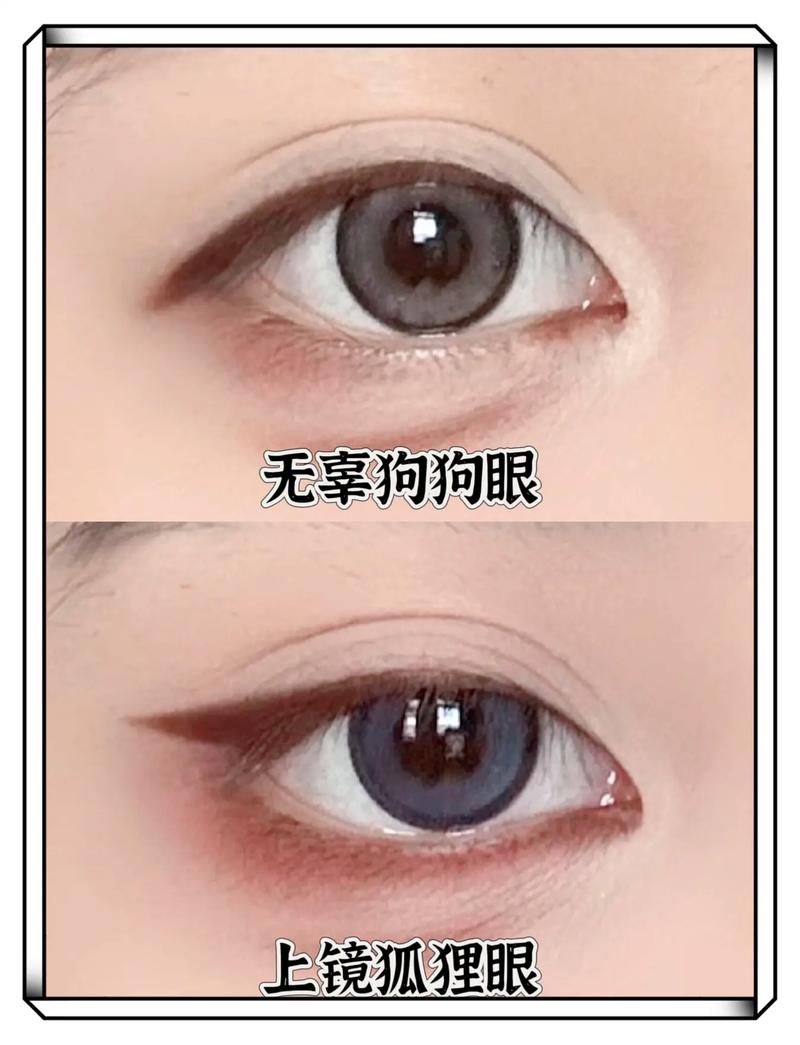 什么眼型是狗狗眼_什么眼型是狗狗眼型图片-第1张图片-后鲨宠物 什么眼型是狗狗眼_什么眼型是狗狗眼型图片-第1张图片-后鲨宠物